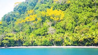 Puerto Jimenez Costa Rica - путешествие по Osa Peninsula и порту для океанской рыбалки