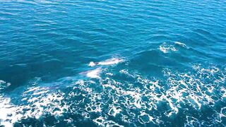 Puerto Jimenez Costa Rica - путешествие по Osa Peninsula и порту для океанской рыбалки