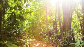 Puerto Jimenez Costa Rica - путешествие по Osa Peninsula и порту для океанской рыбалки