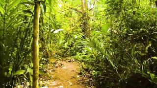 Puerto Jimenez Costa Rica - путешествие по Osa Peninsula и порту для океанской рыбалки