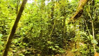 Puerto Jimenez Costa Rica - путешествие по Osa Peninsula и порту для океанской рыбалки