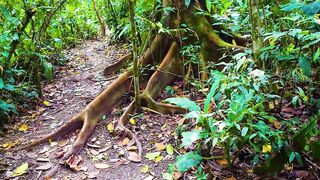 Puerto Jimenez Costa Rica - путешествие по Osa Peninsula и порту для океанской рыбалки