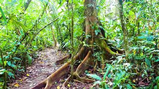 Puerto Jimenez Costa Rica - путешествие по Osa Peninsula и порту для океанской рыбалки