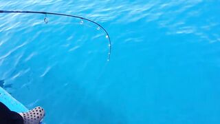 Горячий день в Nha Trang Vietnam рыбалка с берега и большие рыбы на волне Южно Китайского моря