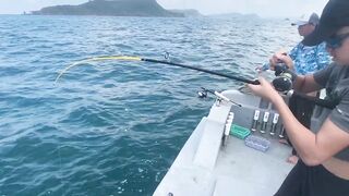 Дневник рыбалки давайте посмотрим какую рыбу удастся поймать сегодня на простой снасти