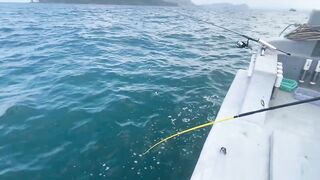 Дневник рыбалки давайте посмотрим какую рыбу удастся поймать сегодня на простой снасти