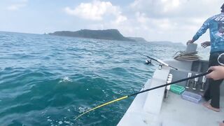 Дневник рыбалки давайте посмотрим какую рыбу удастся поймать сегодня на простой снасти