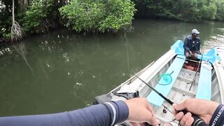 Bentota Sri Lanka рыбалка в мангровом ручье экспедиция за mangrove jack в устье тропической реки