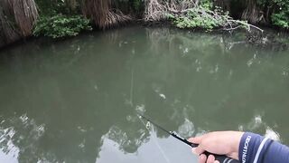 Bentota Sri Lanka рыбалка в мангровом ручье экспедиция за mangrove jack в устье тропической реки