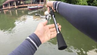 Bentota Sri Lanka рыбалка в мангровом ручье экспедиция за mangrove jack в устье тропической реки