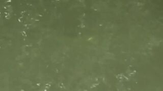 Bentota Sri Lanka рыбалка в мангровом ручье экспедиция за mangrove jack в устье тропической реки