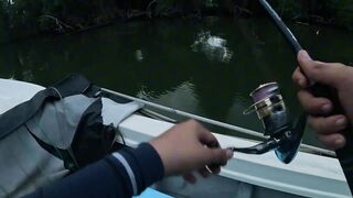 Bentota Sri Lanka рыбалка в мангровом ручье экспедиция за mangrove jack в устье тропической реки