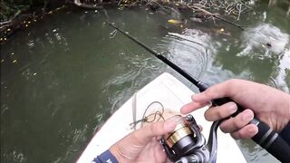 Bentota Sri Lanka рыбалка в мангровом ручье экспедиция за mangrove jack в устье тропической реки