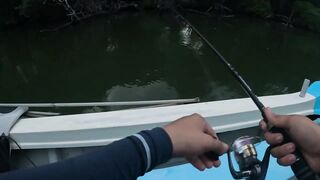 Bentota Sri Lanka рыбалка в мангровом ручье экспедиция за mangrove jack в устье тропической реки