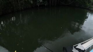 Bentota Sri Lanka рыбалка в мангровом ручье экспедиция за mangrove jack в устье тропической реки