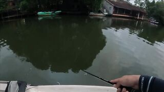 Bentota Sri Lanka рыбалка в мангровом ручье экспедиция за mangrove jack в устье тропической реки