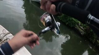 Bentota Sri Lanka рыбалка в мангровом ручье экспедиция за mangrove jack в устье тропической реки