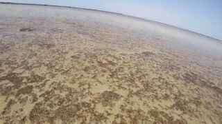 Шарм Эль Шейх Nabq, пляж отеля Amwaj обзор входа в море и логово мурены возле рифа