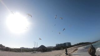 Морская рыбалка на острове Cayo Guillermo Куба катер рифы и охота за барракудой у песчаных пляжей