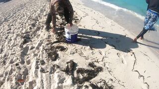 Морская рыбалка на острове Cayo Guillermo Куба катер рифы и охота за барракудой у песчаных пляжей