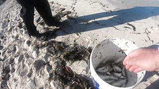 Морская рыбалка на острове Cayo Guillermo Куба катер рифы и охота за барракудой у песчаных пляжей