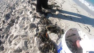 Морская рыбалка на острове Cayo Guillermo Куба катер рифы и охота за барракудой у песчаных пляжей