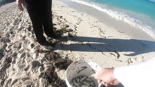 Морская рыбалка на острове Cayo Guillermo Куба катер рифы и охота за барракудой у песчаных пляжей