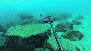 Подводная охота в Tripoli Lebanon grouper и другая рыба на скальных свалах Средиземного моря