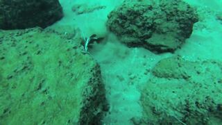 Подводная охота в Tripoli Lebanon grouper и другая рыба на скальных свалах Средиземного моря