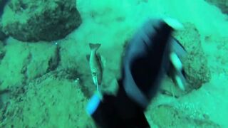 Подводная охота в Tripoli Lebanon grouper и другая рыба на скальных свалах Средиземного моря