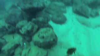 Подводная охота в Tripoli Lebanon grouper и другая рыба на скальных свалах Средиземного моря