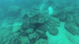 Подводная охота в Tripoli Lebanon grouper и другая рыба на скальных свалах Средиземного моря