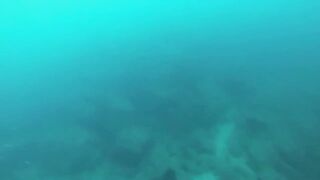 Подводная охота в Tripoli Lebanon grouper и другая рыба на скальных свалах Средиземного моря