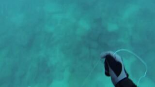 Подводная охота в Tripoli Lebanon grouper и другая рыба на скальных свалах Средиземного моря