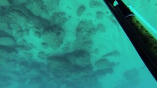 Подводная охота в Tripoli Lebanon grouper и другая рыба на скальных свалах Средиземного моря