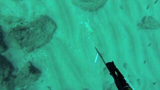 Подводная охота в Tripoli Lebanon grouper и другая рыба на скальных свалах Средиземного моря