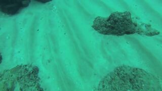 Подводная охота в Tripoli Lebanon grouper и другая рыба на скальных свалах Средиземного моря