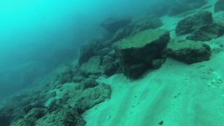 Подводная охота в Tripoli Lebanon grouper и другая рыба на скальных свалах Средиземного моря