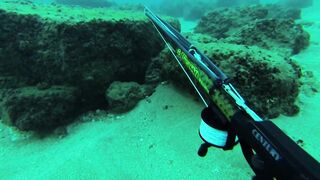 Подводная охота в Tripoli Lebanon grouper и другая рыба на скальных свалах Средиземного моря