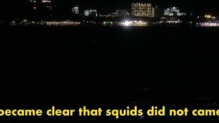 Морская рыбалка на Пхукуоке: ночная охота на кальмара во Вьетнаме в формате 4K