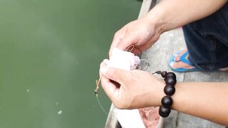 Fishing in Shanghai: оснастка bait ball и вечерняя рыбалка на городской набережной Китая