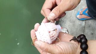 Fishing in Shanghai: оснастка bait ball и вечерняя рыбалка на городской набережной Китая
