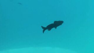 Тулум кинозвёзды, попрошайки и тусовщики самый контрастный курорт мира глазами Артёма Гавра и Насти Лут