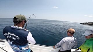 Salalah Fishing Part 1 - морская рыбалка в Salalah Oman первые выезды с берега и катера