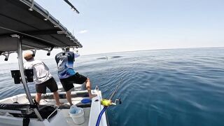 Salalah Fishing Part 1 - морская рыбалка в Salalah Oman первые выезды с берега и катера