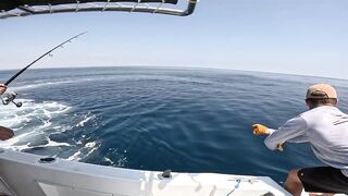 Salalah Fishing Part 1 - морская рыбалка в Salalah Oman первые выезды с берега и катера