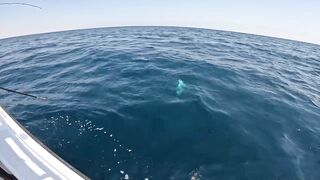 Salalah Fishing Part 1 - морская рыбалка в Salalah Oman первые выезды с берега и катера