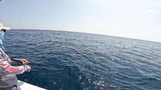 Salalah Fishing Part 1 - морская рыбалка в Salalah Oman первые выезды с берега и катера