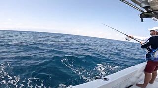 Salalah Fishing Part 1 - морская рыбалка в Salalah Oman первые выезды с берега и катера