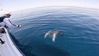 Salalah Fishing Part 1 - морская рыбалка в Salalah Oman первые выезды с берега и катера